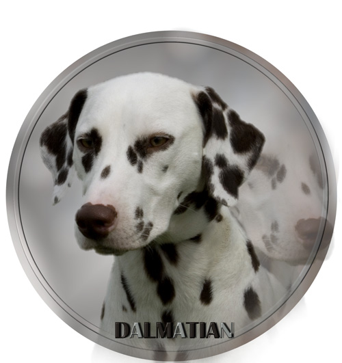 Car Stickers Dalmatian Car Window Sticker